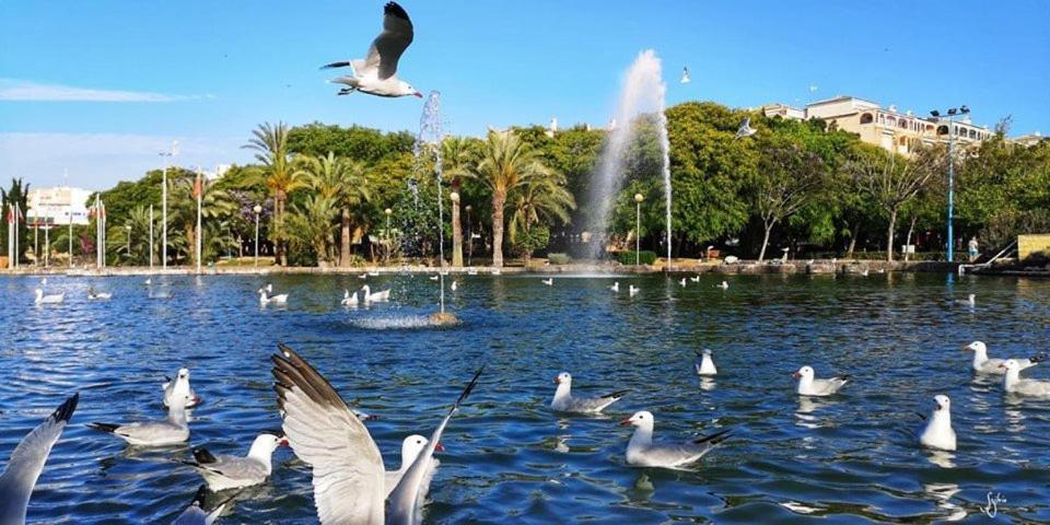 Torrevieja Experience Atico 1ª Linea Apartment Екстериор снимка